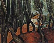 Forest